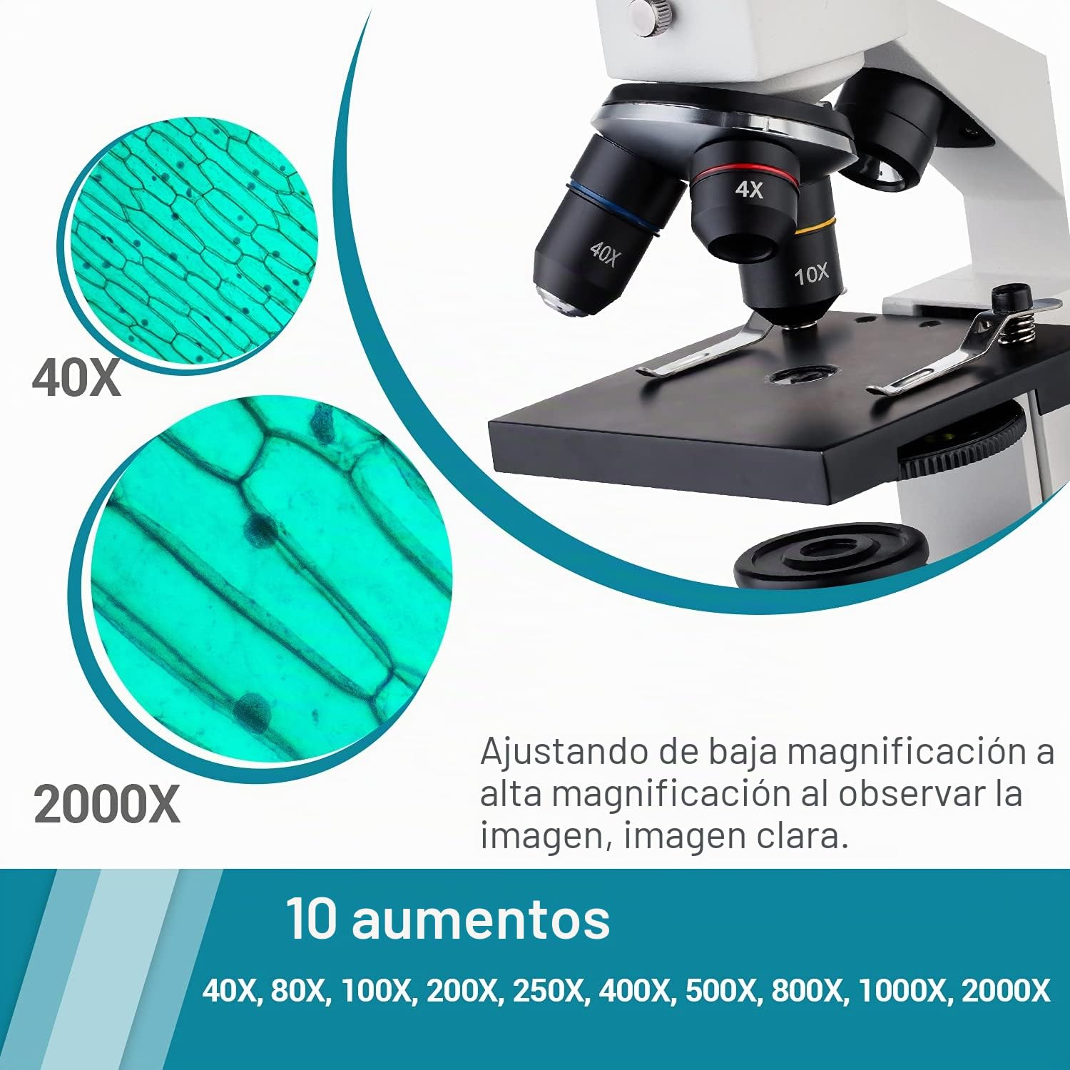 Microscopio de actualización 40X-2000X para niños, Estudiantes y Adultos, Potente microscopio biológico para niños, para Laboratorios Escolares, hogar, investigación científica biológica
