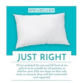 Youth Pillow - 16 X 22 - Soft & Hypoallergenic - Kids Sleeping Pillow - Toddler Bed Pillow - Perfect Size - Backed by Our Love The Fluff Guarantee (2 Pack)