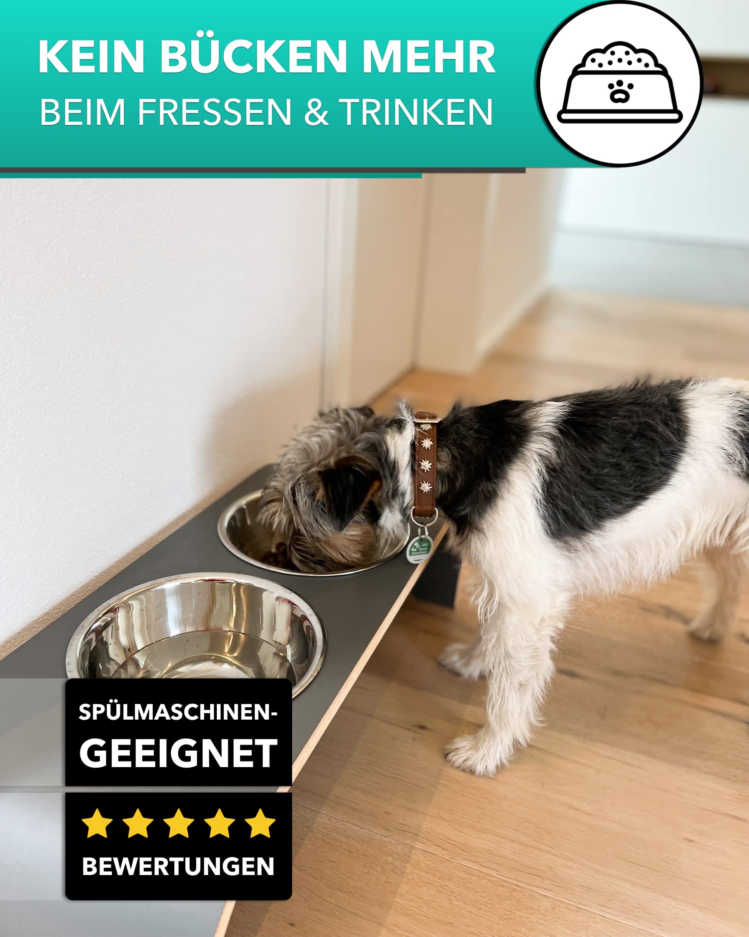 Hundenapf Futterstation - 2er Futternapf Hund erhöht - Doppel Fressnapf Hunde - Hund - Wassernapf Hunde Doppelnapf - Dog Feeding Station (M, Weiß)