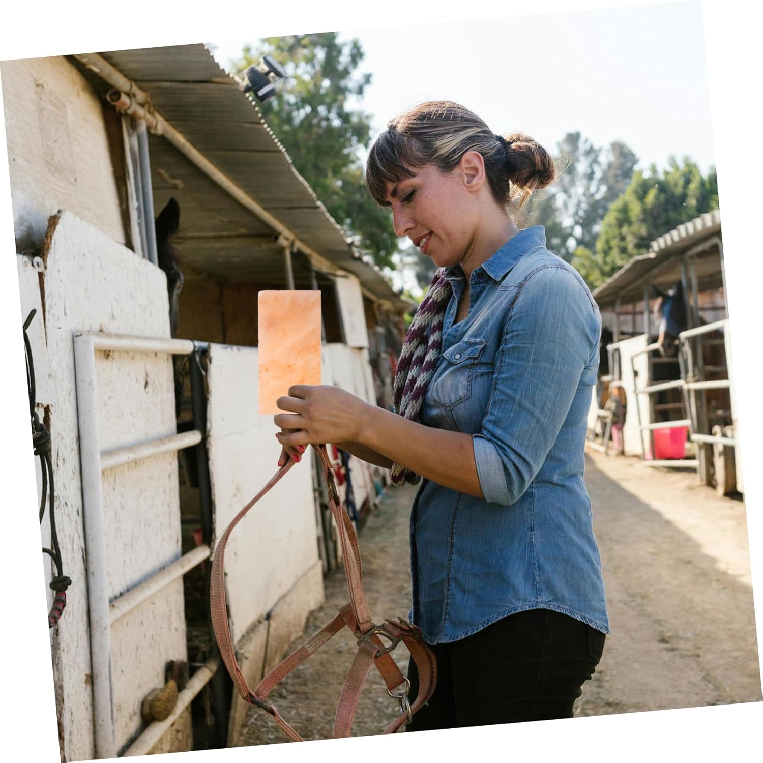Mineral Rich Salt Brick for Cows Sheep and Horses Promotes Digestion and Nutritional Health