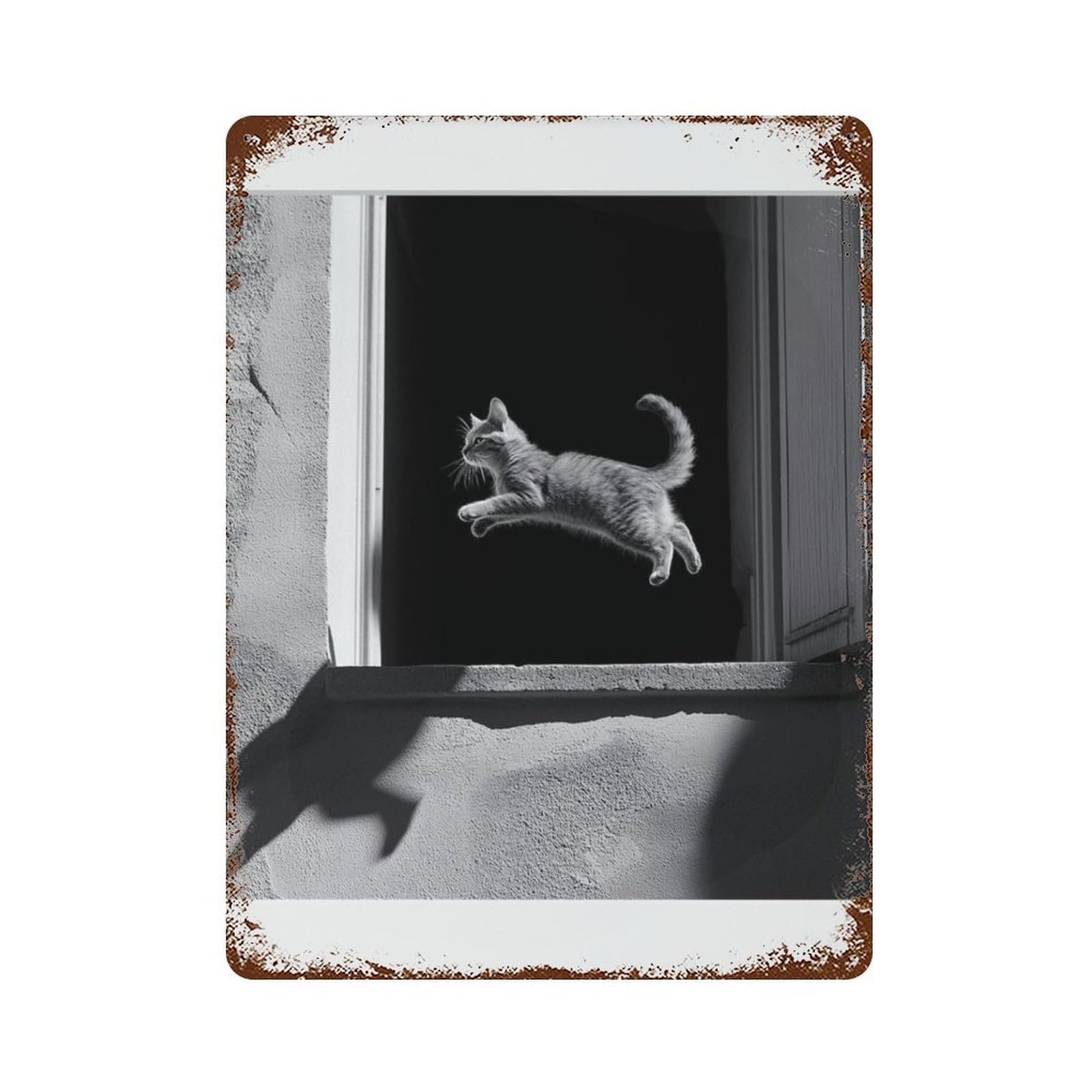 xiaoxiaoshen Cat Photography S1 Wall Decor Art Metal Tin Poster Modern Home Decor Art Home Bar Shop Decorations Vintage Sign 40x30cm
