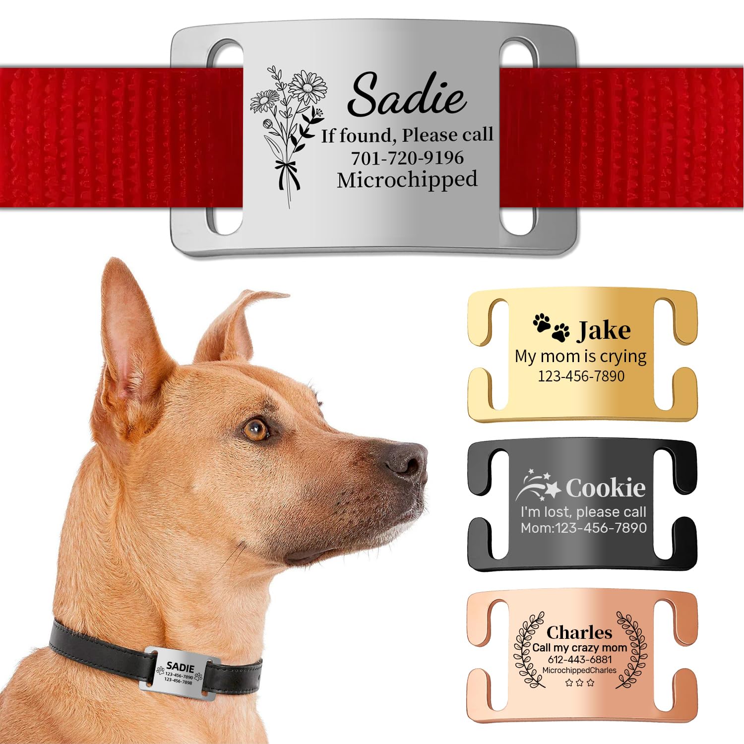 Personalised Dog Tags for Pets Engraved Name Tags, ID Tag, Slide-on Dog Collar Tags - Personalised Dog Identity Tag for Collar,Custom Dog Tags Silent