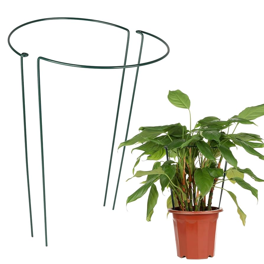 Willing plant 台座 3点セット【hope】 Willing plant 台座 3点セット【hope様専用】