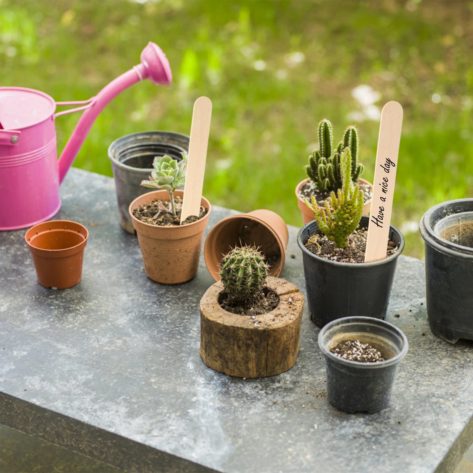 KINGLAKE 100 etiqueta de planta de madera 15x1,6 cm etiqueta de jardín natural palo de madera para manualidades hecho en casa