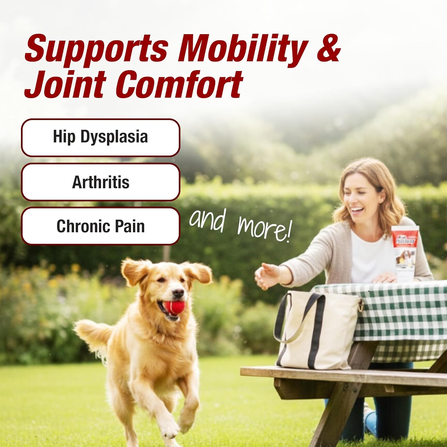 Pet Pain Away All Natural Dog Arthritis Pain Relief, Cat Pain Relief, Dog Pain Relief Anti Inflammatory, Dog Joint Pain Relief, Homeopathic Pain Reliever for Large and Small Dogs and Cats (2 oz)