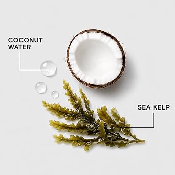 Joico HydraSplash Hydrating Conditioner | For Fine, Medium, Dry Hair | Replenish Moisture | Add Hydration & Softness | With Sea Kelp & Coconut Water