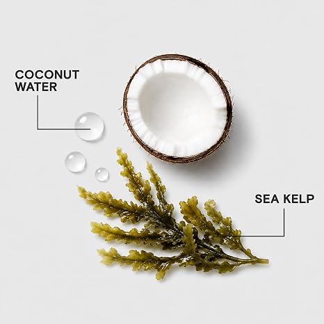 Joico HydraSplash Hydrating Conditioner | For Fine, Medium, Dry Hair | Replenish Moisture | Add Hydration & Softness | With Sea Kelp & Coconut Water