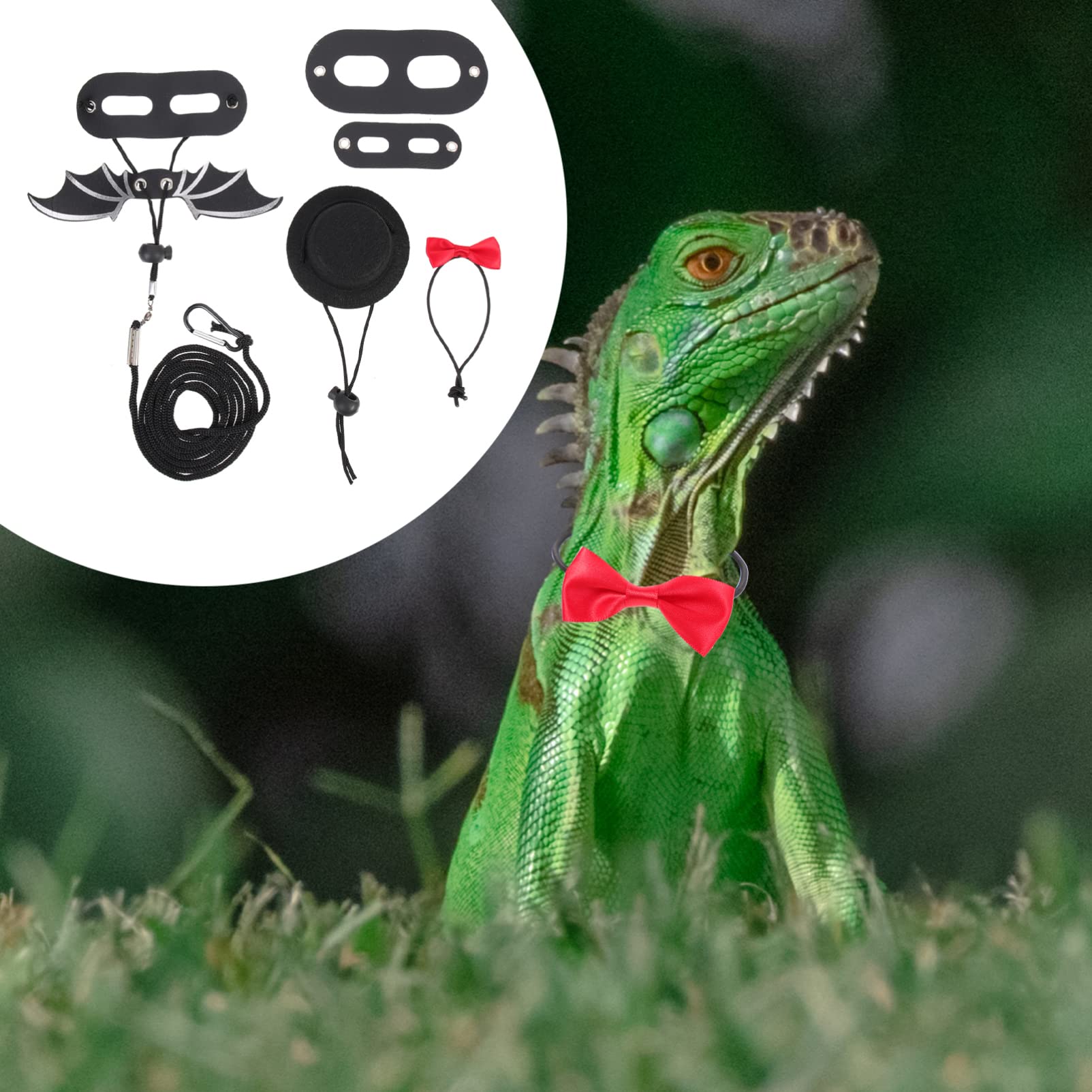 Ipetboom Bearded Dragon Leash Carrier Lizard Harness Bow Tie Kit Portable Pet Leash Set