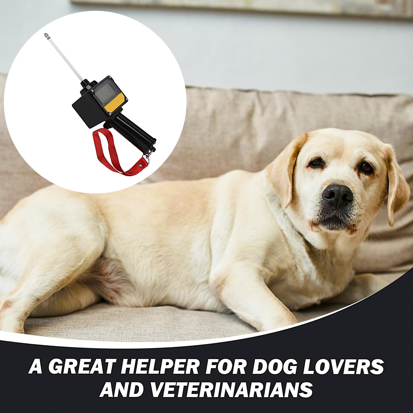 Detector de Ovulación para Perras Sonda Magnética De 5 Cm Para Detección | Detector Impermeable De Ovulación Con Cordón Portátil, Funciona Con Pilas Para Crianza Canina En Hogares Y Perreras