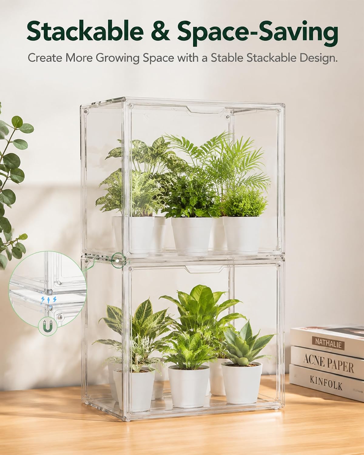 Small Indoor Clear Greenhouse: Mini Portable Tabletop Green House with External LED Grow Light Strip & Thermometer for Seed Starting, Plant Propagation, Grow Warmer and Home Gardening Display image 5