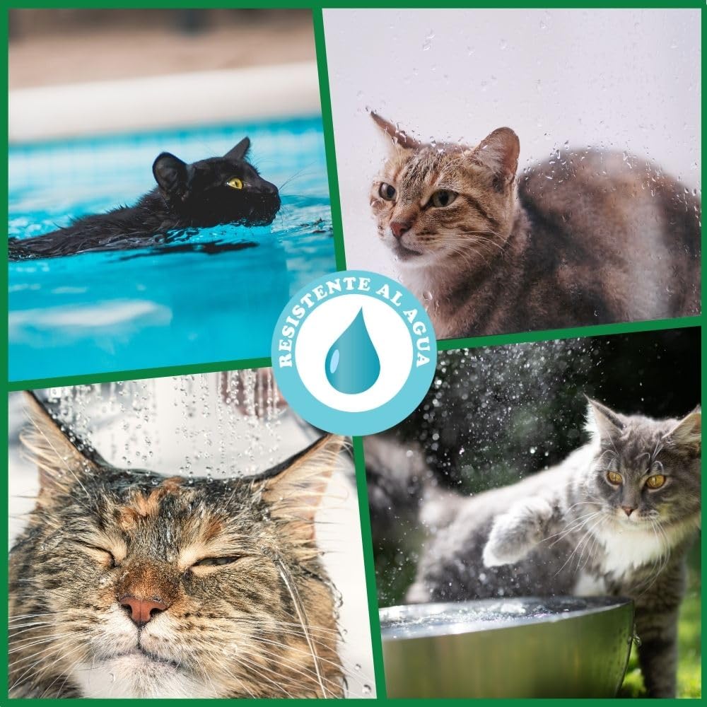Collar antipulgas y garrapatas para Gatos, Resistente al Aqua, protección Activa de hasta 8 Meses, 33 centimetros, para qualquier tamaño de Gato