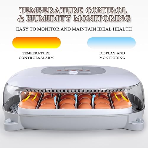 Miniatura 3 de Incubadora para incubar huevos, 24-50 huevos Máquina automática para criar aves de corral con control de humedad, torneado de huevos, vela de