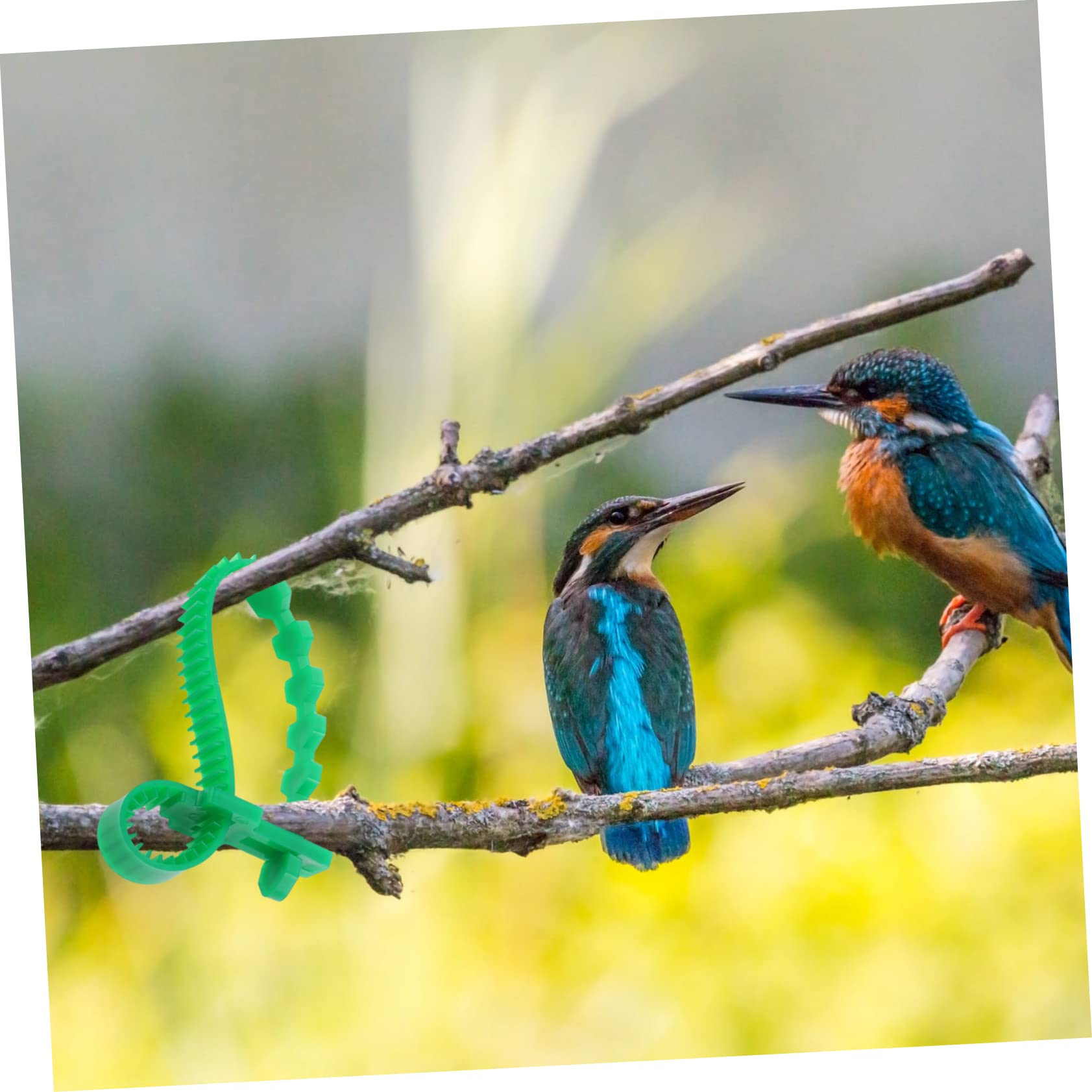 Gatuida 20pezzi Cinghie Regolabili per Piante e Legature PVC Spesse Resistente e Riutilizzabile per Giardinaggio e