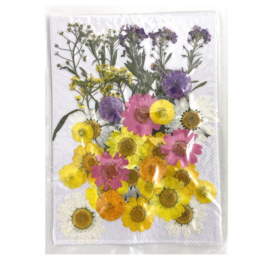 CENPEK Dried Pressed Flowers Natural Dried Flowers Real Pressed Flowers Colorful Dry Flowers for Resin Jewelry Nail Art Craft DIY (Autumn)