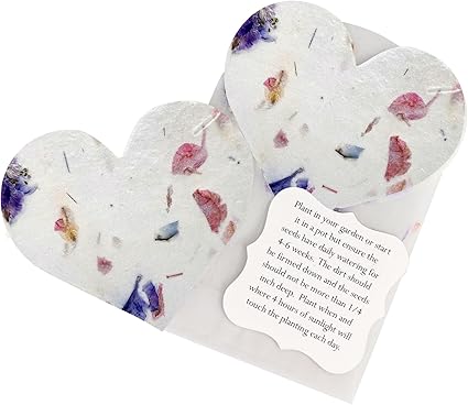 Set of 24 Mixed Heart Seed Paper