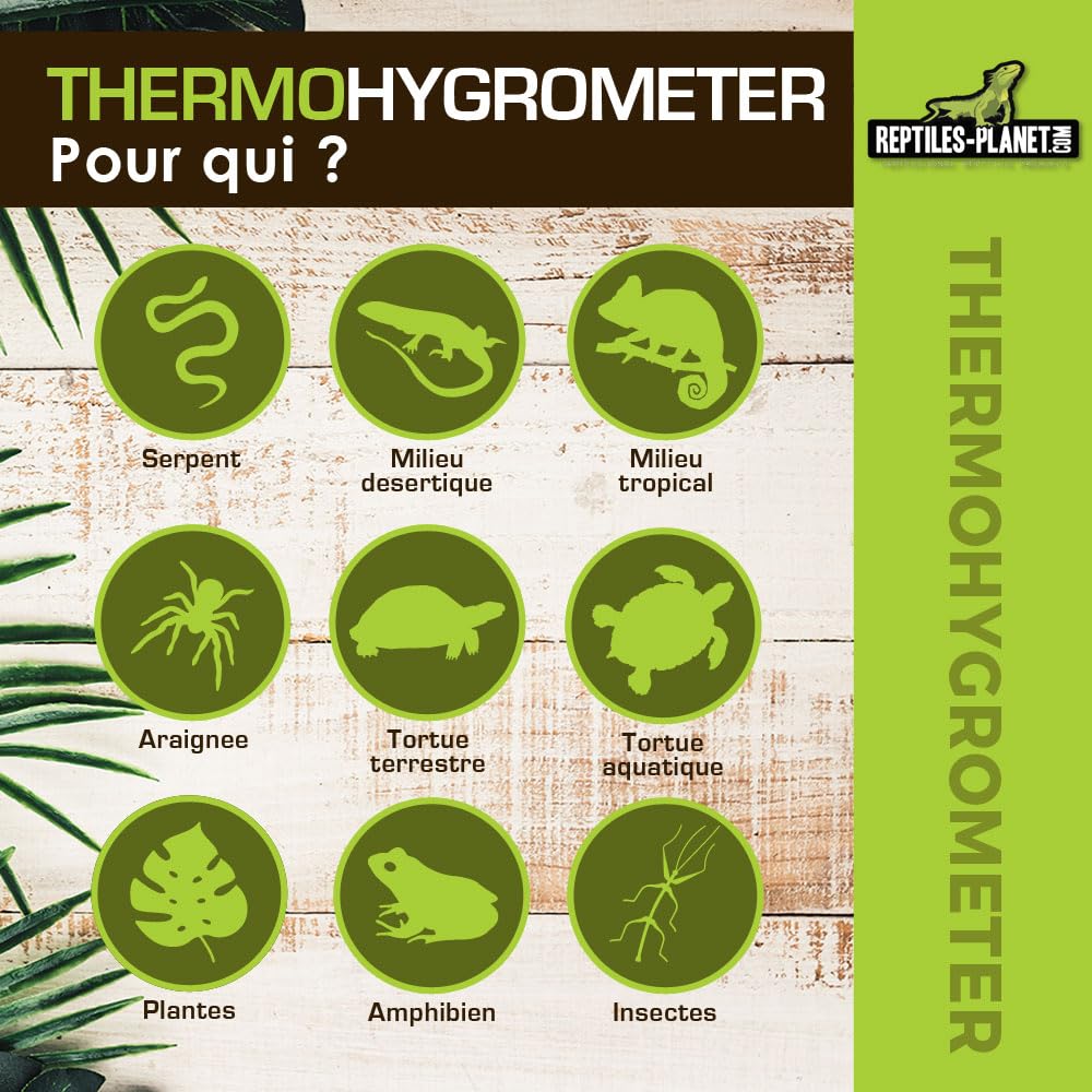 Reptiles Planet - Small Thermohygrometer - Thermomètre et Hygromètre Digital pour Terrarium