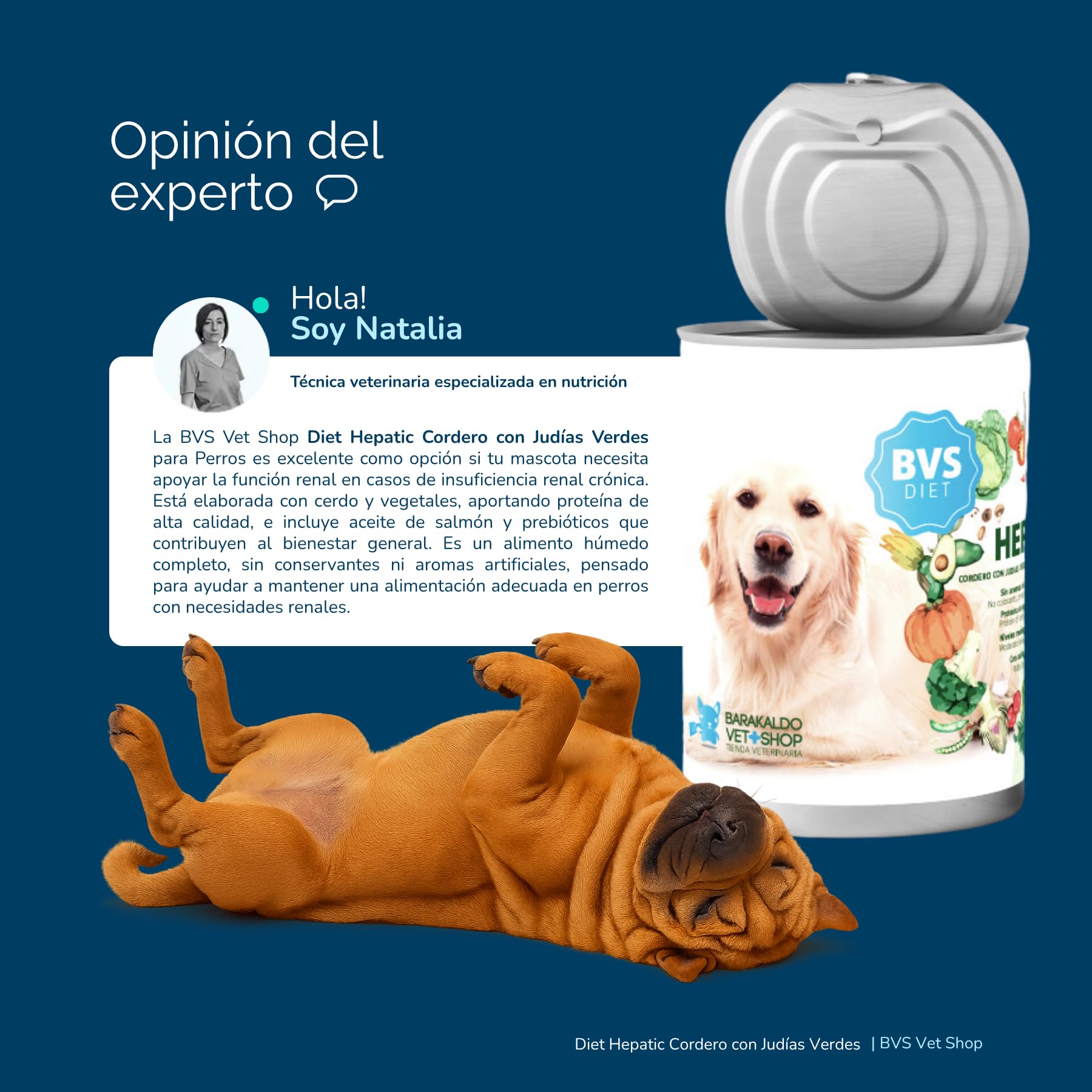 BVS Vet Shop | Diet Hepatic Cordero con Judías Verdes Lata para Perros | Alimento dietético para apoyar la función hepática por insuficiencia hepática crónica | 6 unid. x 400 gr