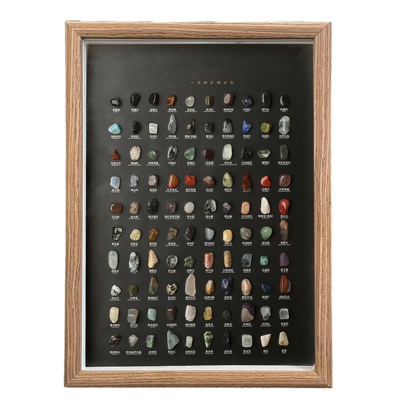 Colección de Minerales 100 Piezas Naturales para Coleccionistas | Kit De Ciencia Infantil Con Especímenes De Minerales En Bruto Para Niños Adultos Coleccionistas Oficina Sala Dormitorio