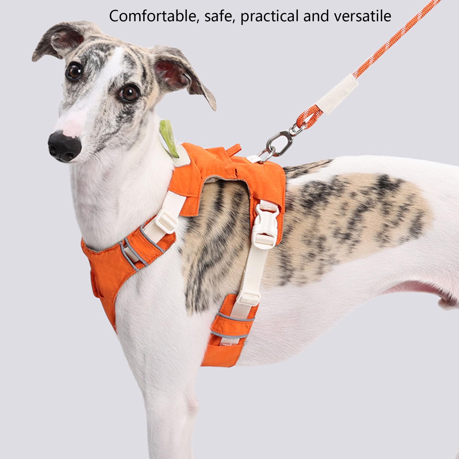 Set di pettorina e guinzaglio rimovibili per cani, gilet riflettente regolabile con comoda corda in nylon per la sicurezza quando si cammina all'aperto, semplice cane con equipaggiamento rimovibile