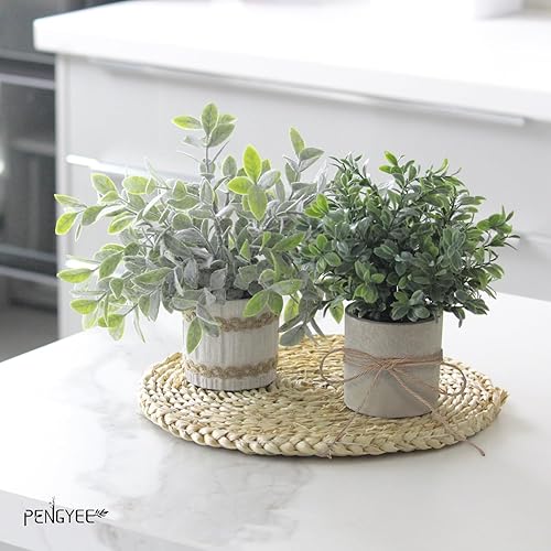 Miniatura 3 de PENGYEE Juego de 8 plantas falsas pequeñas para interiores, mini plantas artificiales de plástico, romero, eucalipto, vegetación para el hogar,