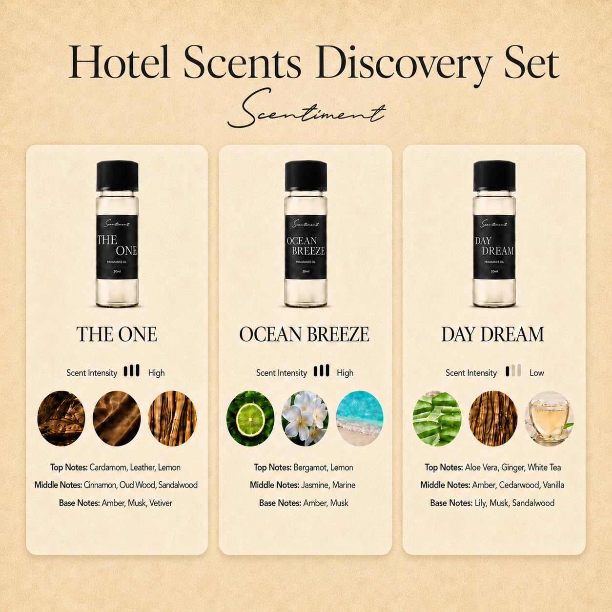 Scentiment 's Hotel Collection Top 3 Duftöle, 5-Sterne-Hotel inspirierte Aromatherapie-Diffusoröle lockt mit luxuriösem Kardamom und toskanischem Leder, verführt mit einem Hauch von Sandelholz, 20 ml