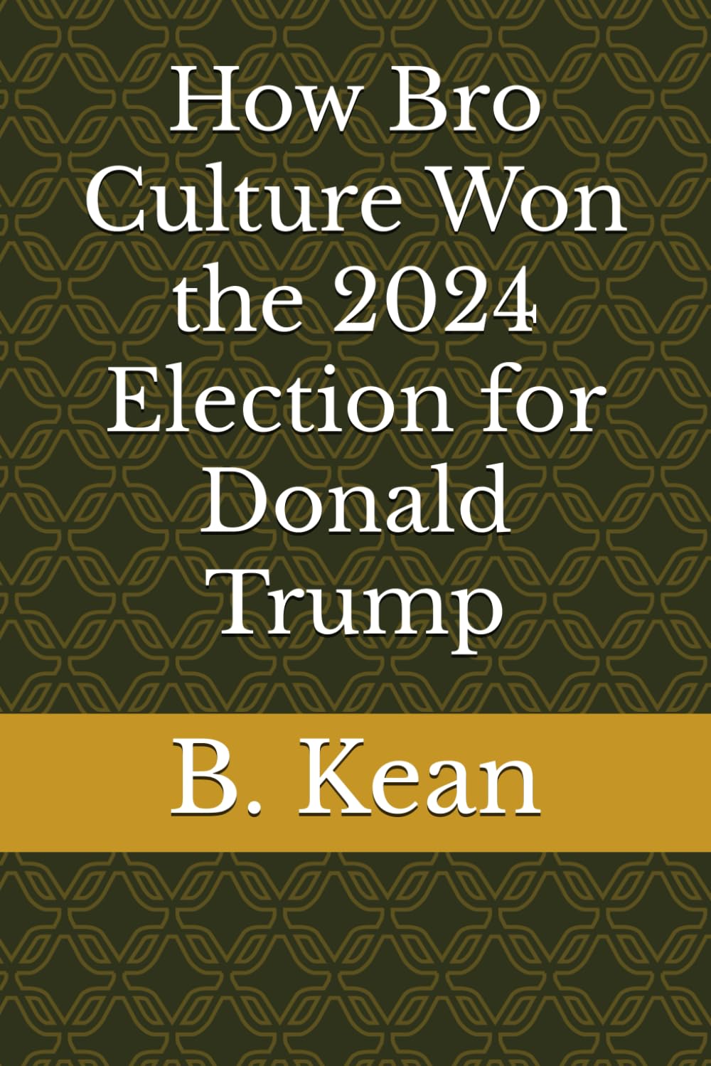 How Bro Culture Won the 2024 Election for Donald Trump: Now They Are in the Driver's Seat and the Car Is Racing for the Cliff's Edge