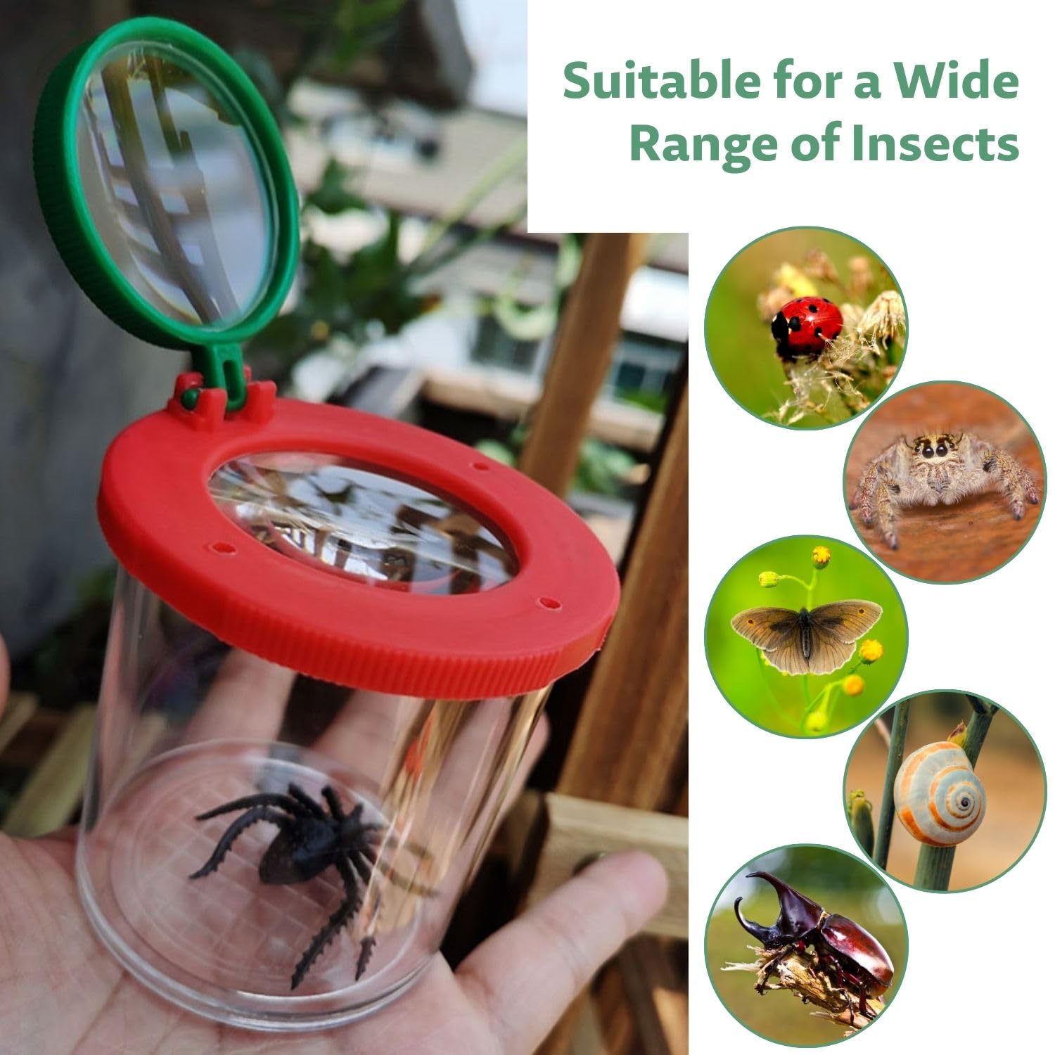 Kit Exploration Enfant SKIKHN - Ensemble Attrape-Insectes Complet Avec Loupe, Boîte D'Observation, Filet à Papillon Et Pince Pour Aventures Extérieures