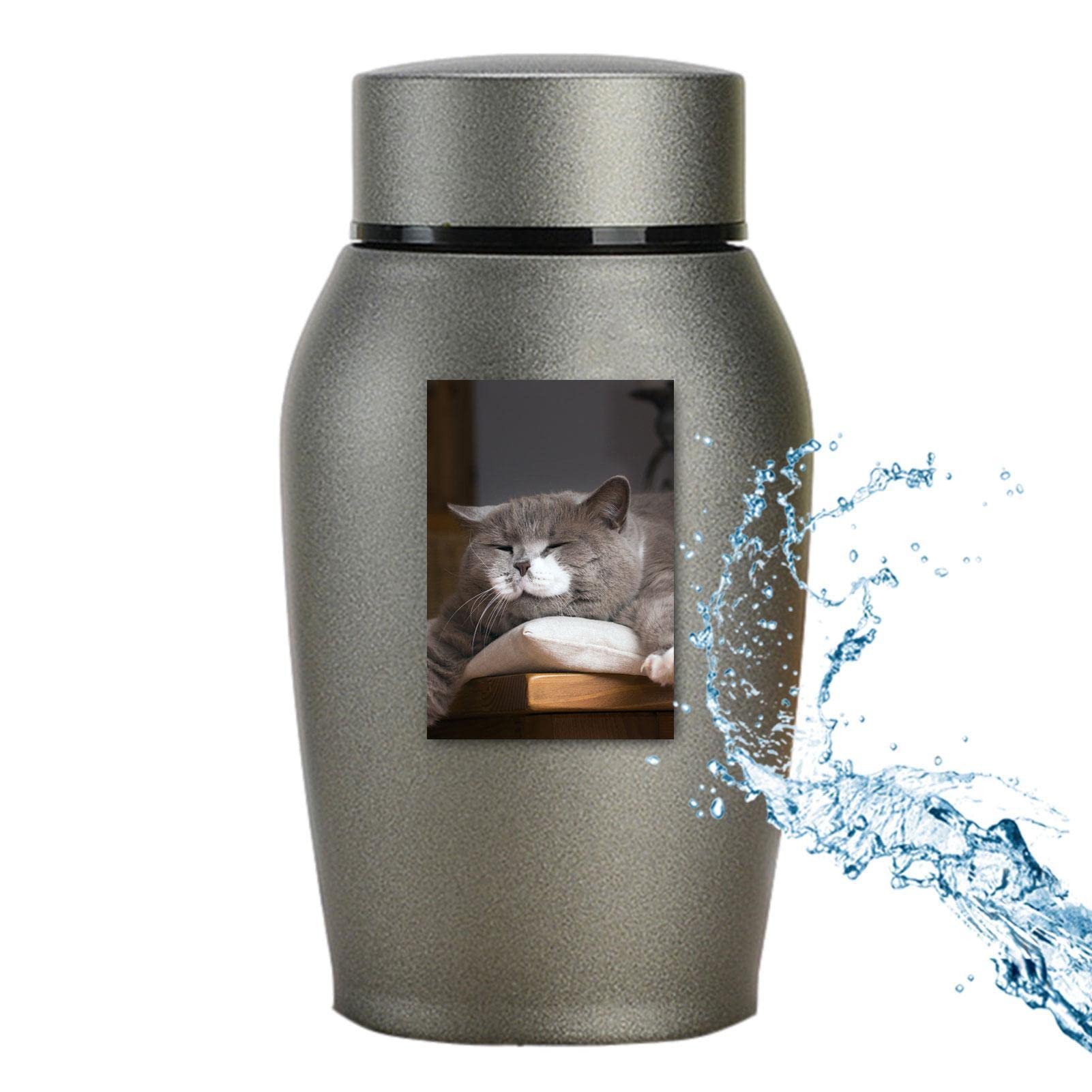 Buy Pet Cremation Urn,Pet Urn Stainless Steel Memorial Jar Mini Memorial Funeral Ashes Holder