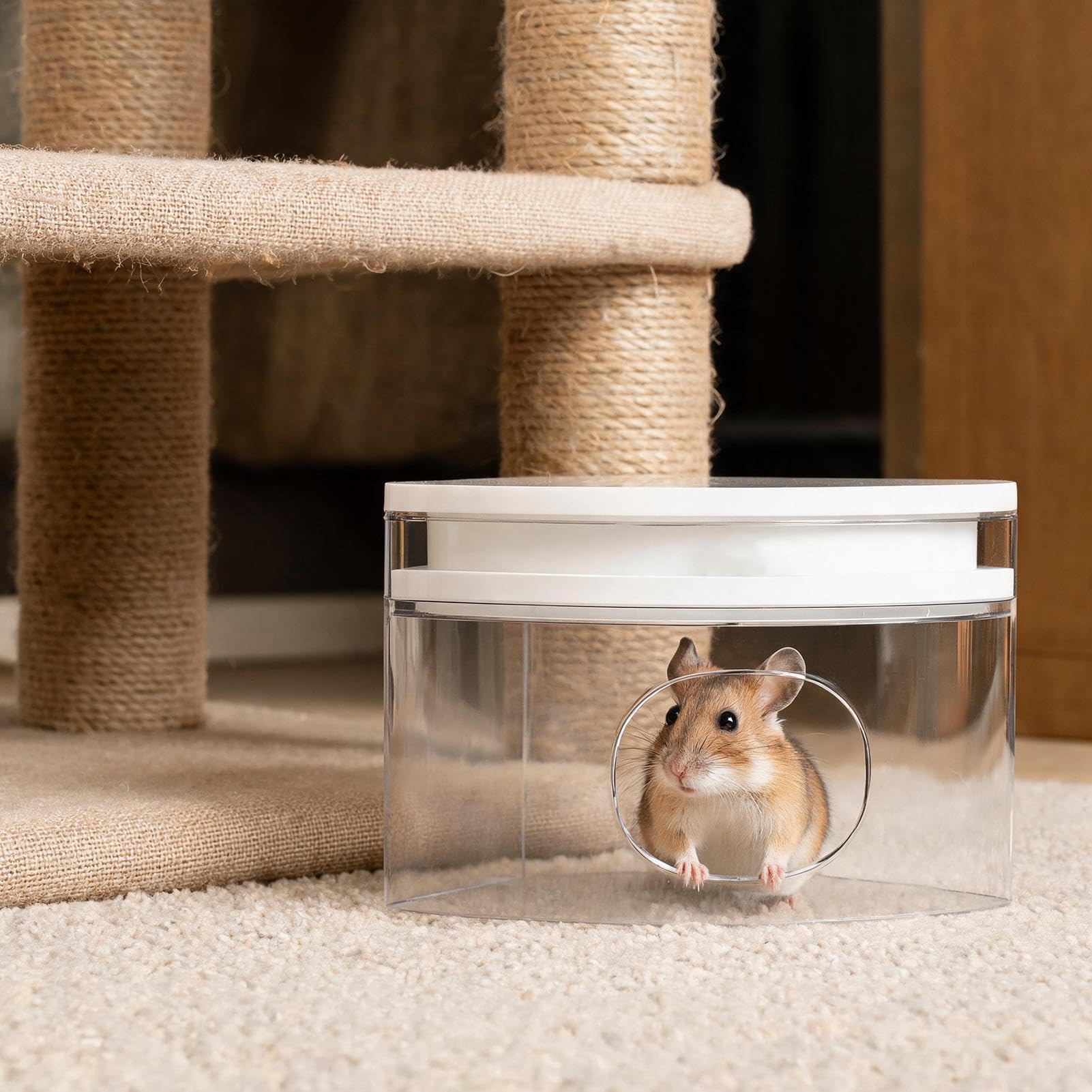 Casetta Piccoli Animali Rifugio Rimovibile per il Relax dei Piccoli Animali | Rifugio per Criceti Per Furetti, Scoiattoli, Coniglietti Nani, Gerbilli, Cincillà, Orsetto Dorato, Topi e Lemming