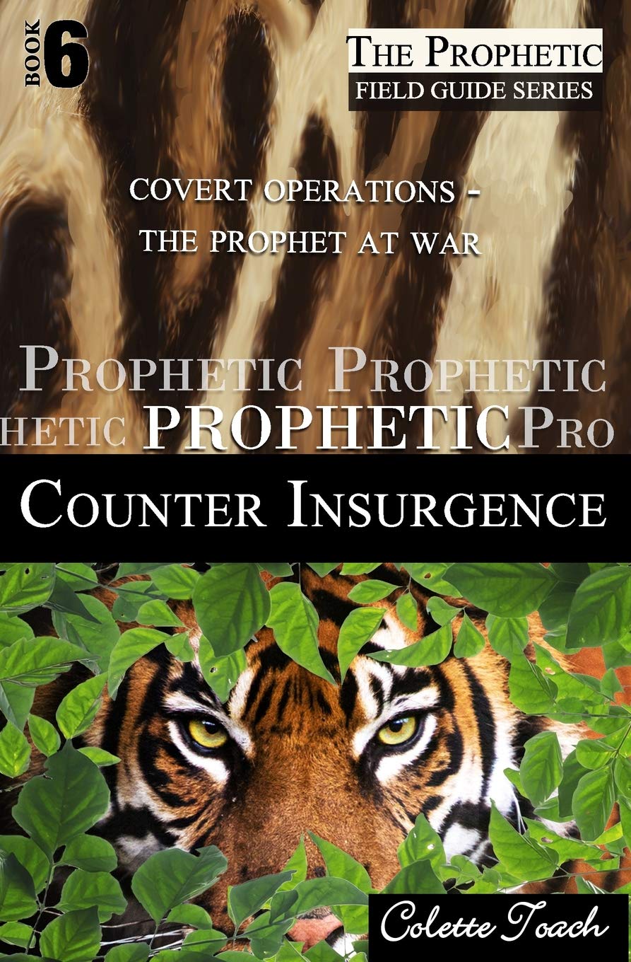 Prophetic Counter Insurgence: Covert Operations - The Prophet at War: Volume 6 (The Prophetic Field Guide Series)