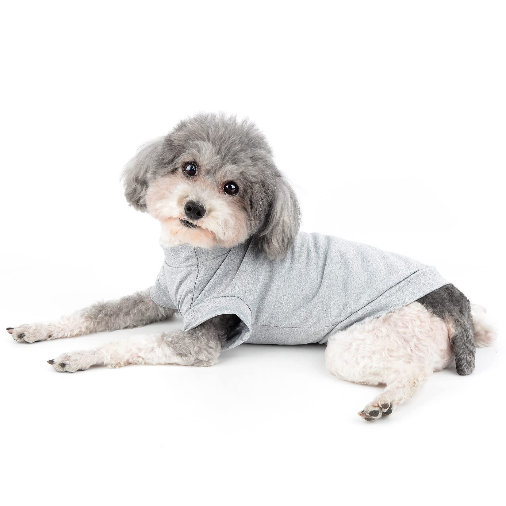 Ranphy Dog Vest for Small Dog Puppy Solid Clothes T-Shirt Tee Shirts Soft and Quick Dry Cooling Pet Costume Chihuahua Yorkie Vest Cats Apparel, Light Gray, M