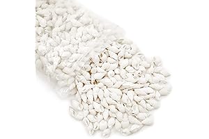 WHITE SHELLS for Home Decorations, Party Wedding, DIY Crafts