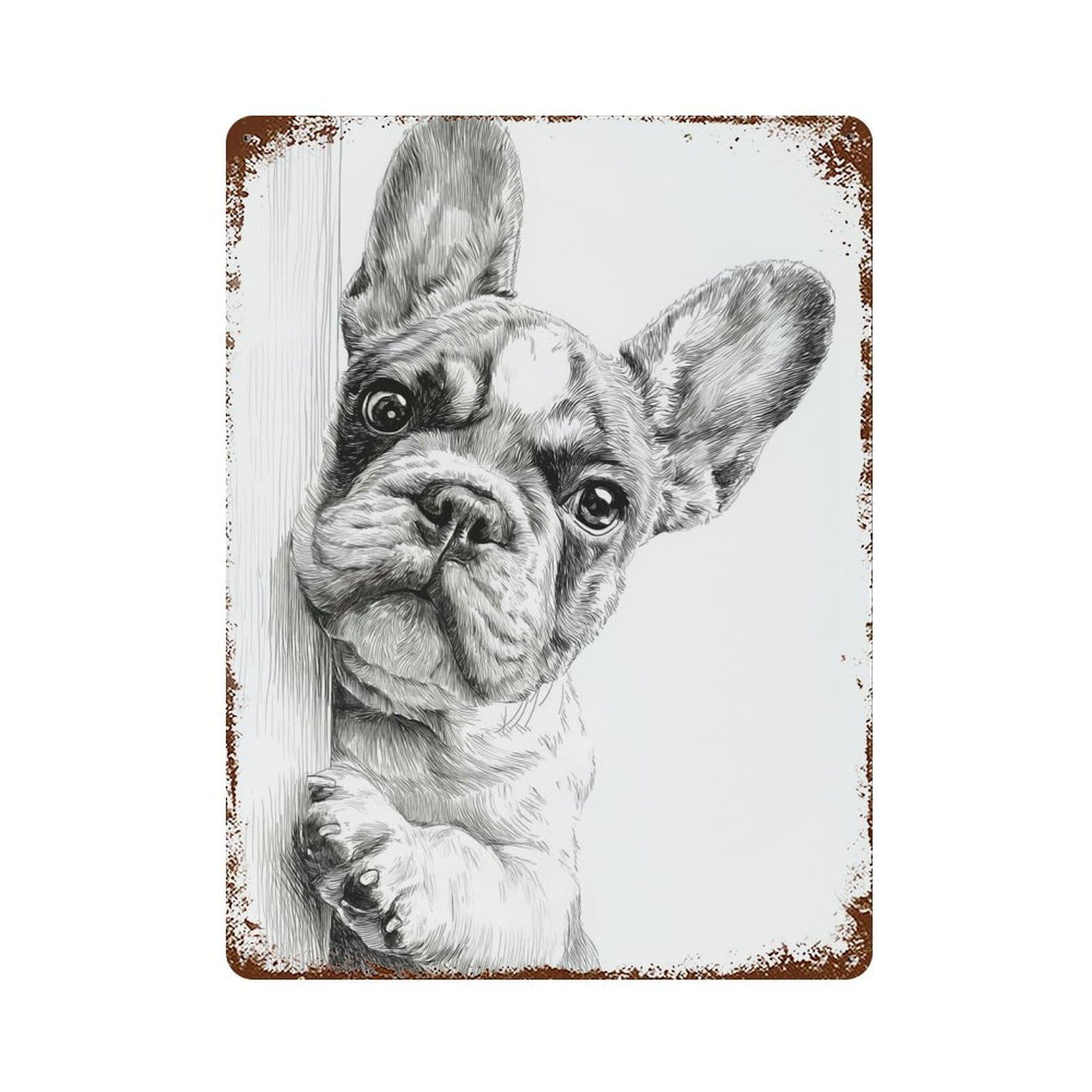 Rust Effect Curious French Bulldog Sketch Rustic Tin Plaque 15.7"x11.8", Industrial Home Decor for Bistro, Counter And Cafe Decor