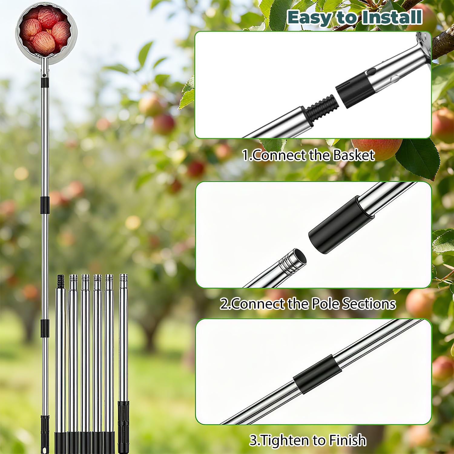 View 7