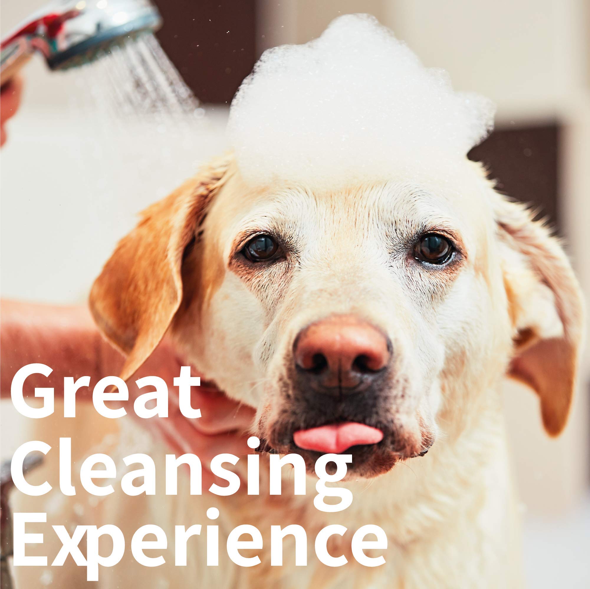 Buy Kelebs All Natural Oatmeal Dog Shampoo Bar. Lavender Essential Oil