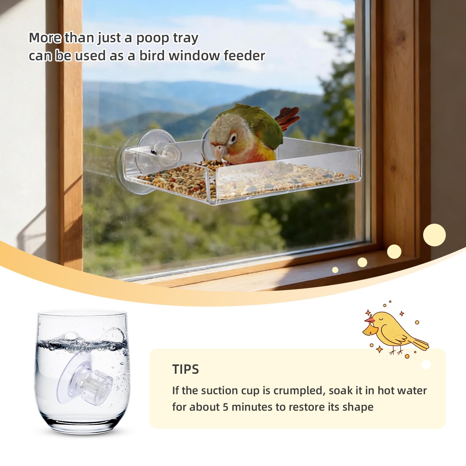 2-in-1 Bird Perch with Removable Tray | Suction Cup Bird Perch with Locking Guard & Feeder Tray | for Small and Medium Birds Like Parakeets, Cockatiels, Lovebirds, Conures(Clear,Medium) - image 7