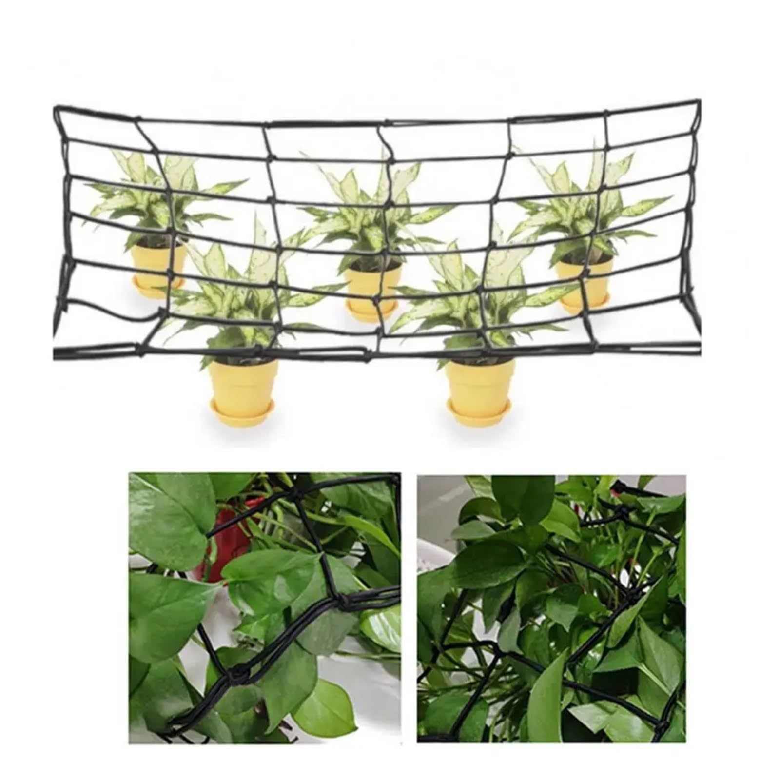 Rete Protettiva in Plastica Rete a traliccio for la crescita a for piante a resistente for il giardinaggio dei cetrioli Scrog for l'orticoltura(L)