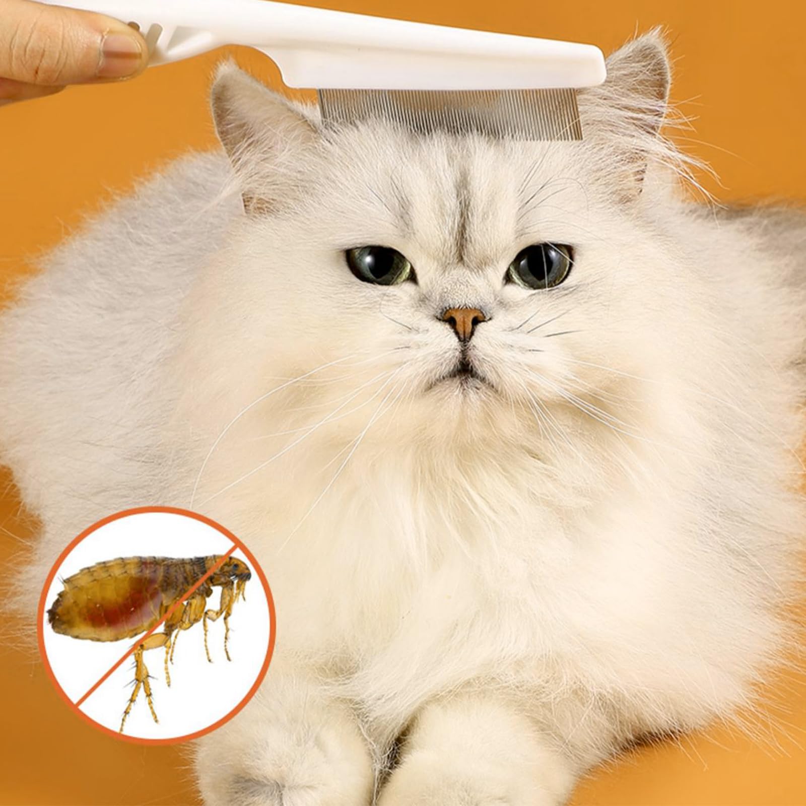 Peigne multifonction pour animaux de compagnie - 4 peignes en plastique pour chats et chiens - Efficace contre les puces et les poux - Soin pour propriétaires d'animaux de compagnie