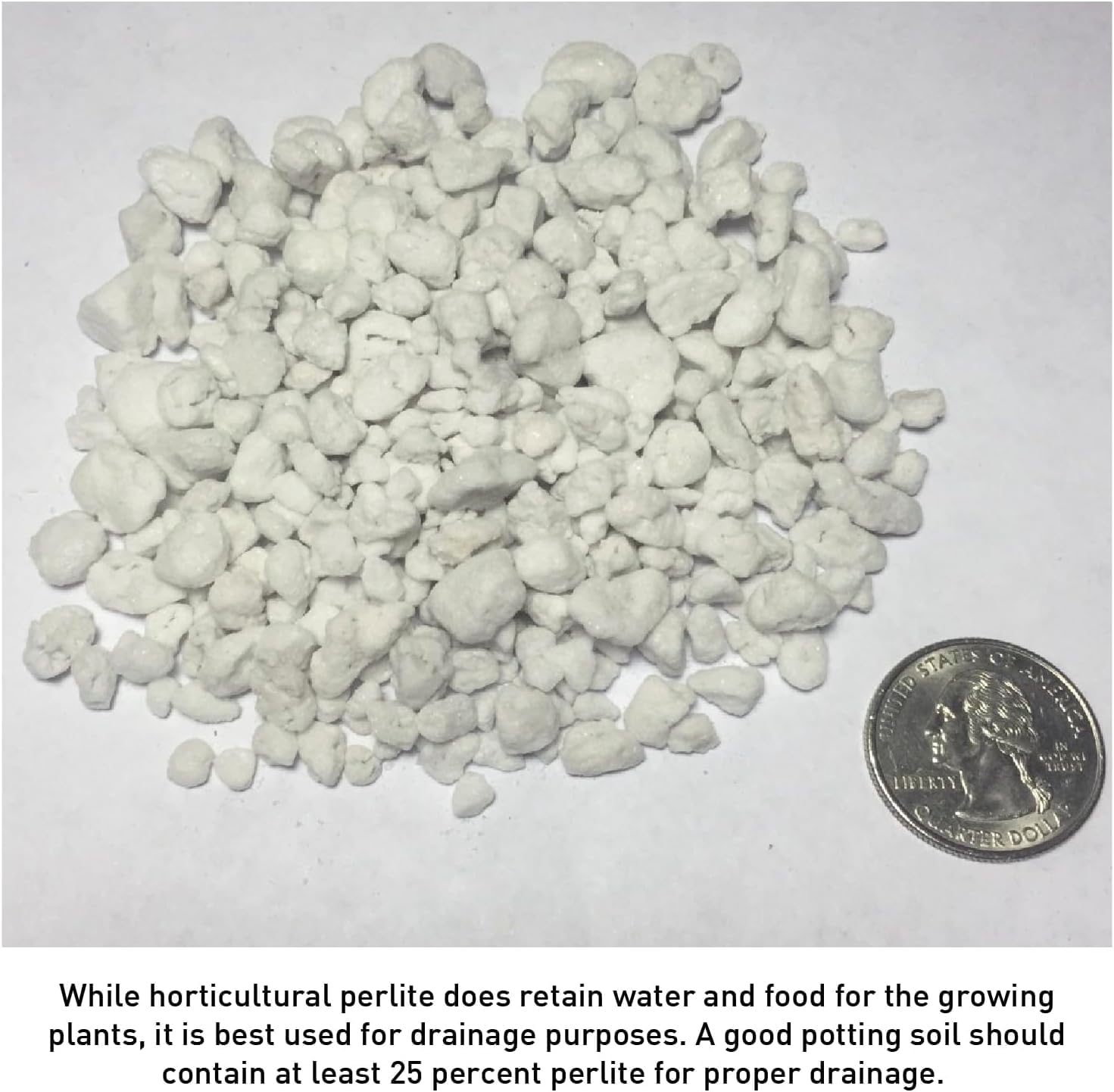 Norcal Perlite Horticultural Organic Certified Premium Screened Coarse Garden Indoor Outdoor Plants Soil and Drainage 4 Cubic Feet (103 Quarts) 1 Bag