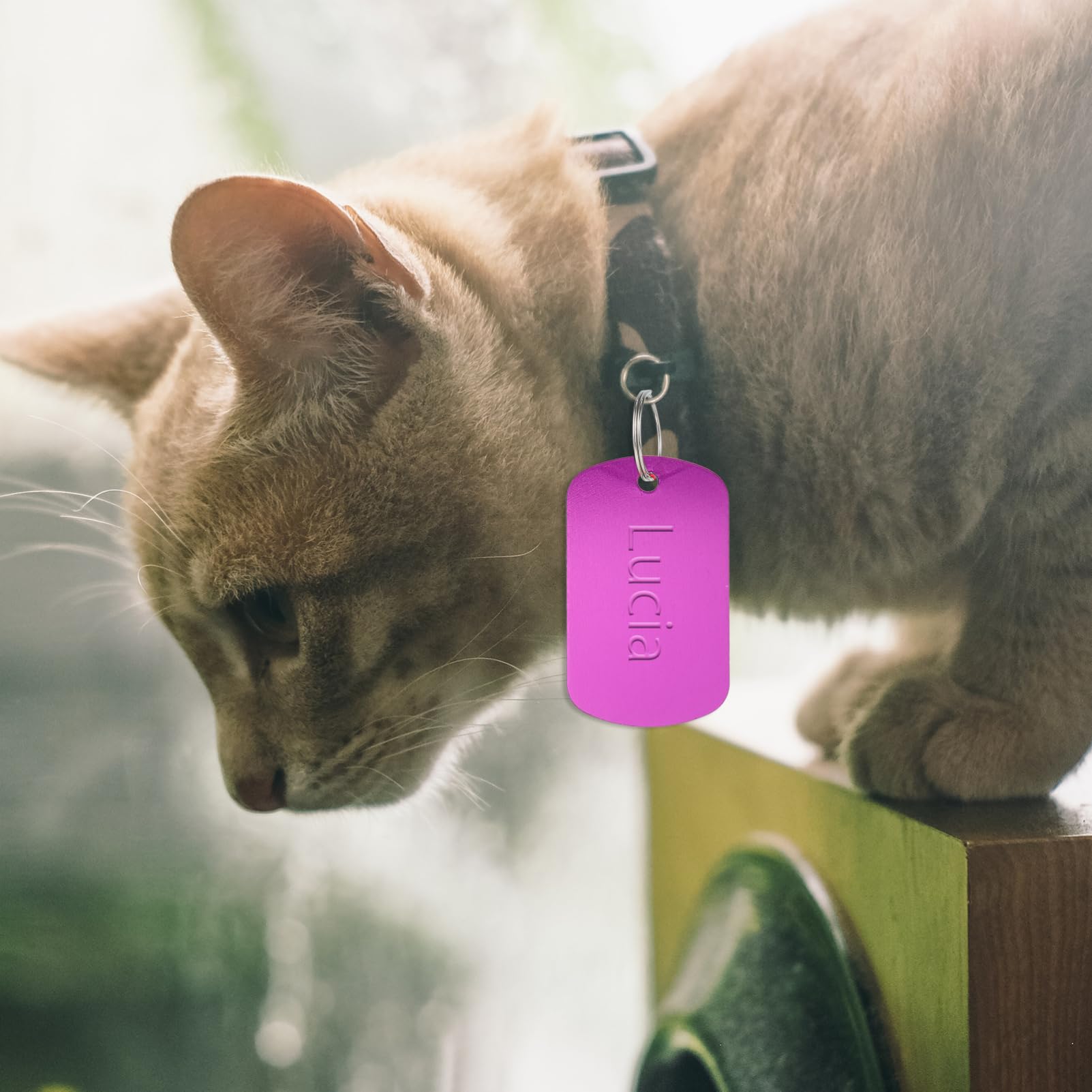 Sosoport 4 Sätze Maßgeschneiderte Haustiermarken Hundemarken Identitätsmarken für Hunde und Katzen Haustiermarken Aus Legierung Personalisierte Haustier-id Stück * 4