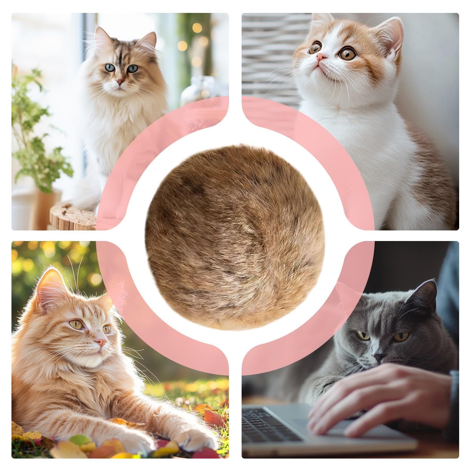 Juguete Interactivo Bola para Gatos Accesorios De Juego para Gatitos | Juguete Hierba Gatera Para Gatos Interior Para Dueños De Mascotas Amantes De Los Animales Hogar Oficina Dormitorio Salón