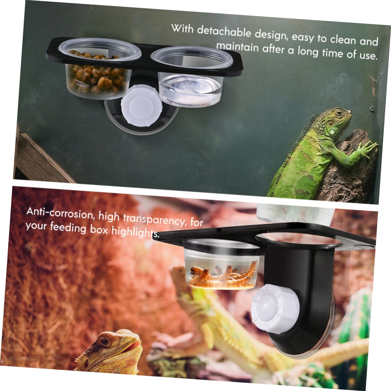 Amazon | SEWOART 爬虫類用餌皿 フトアゴヒゲトカゲ 餌にも使える安定
