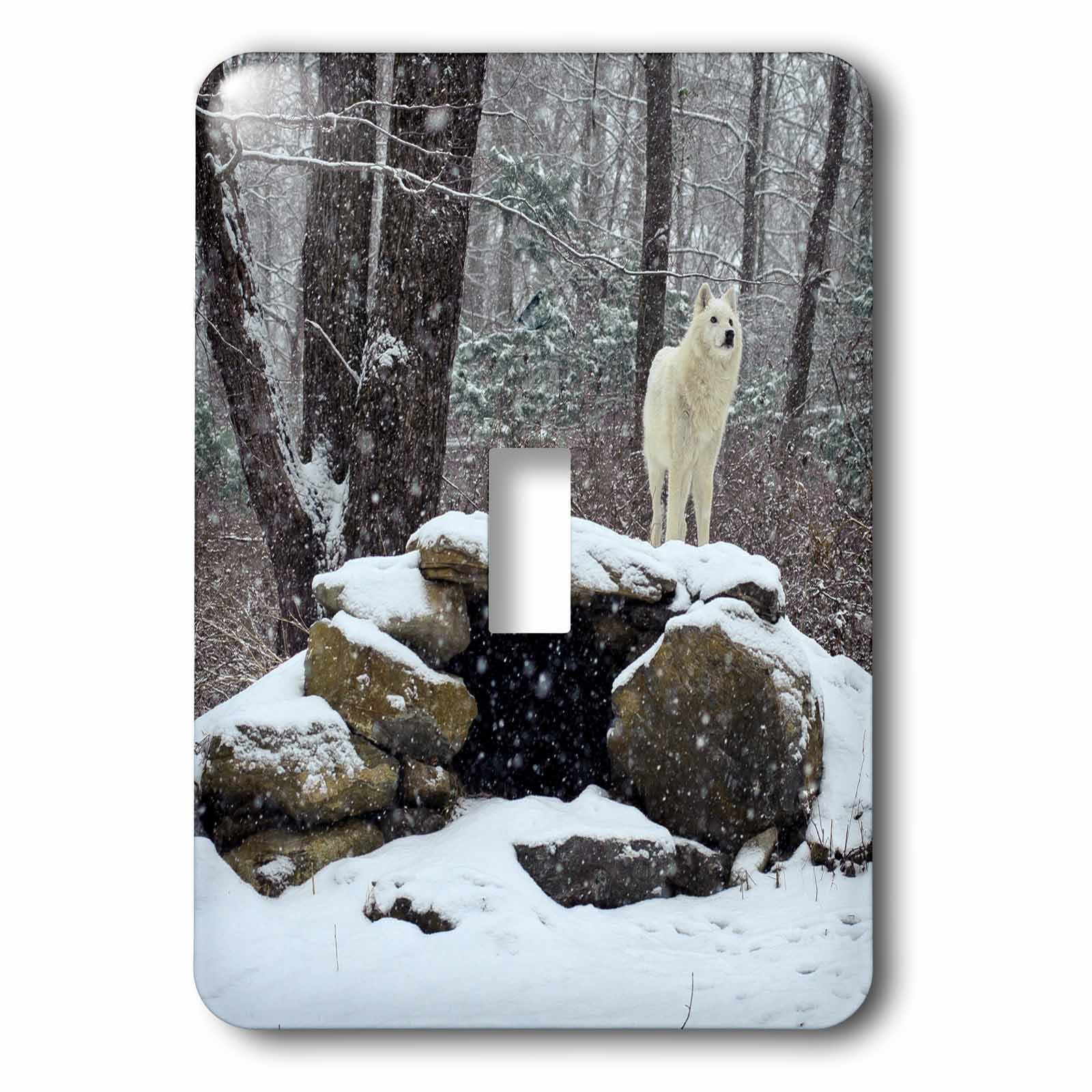 Arctic Wolf 2 interrupteur 3dRose lsp_100274_1 pour chambre nature