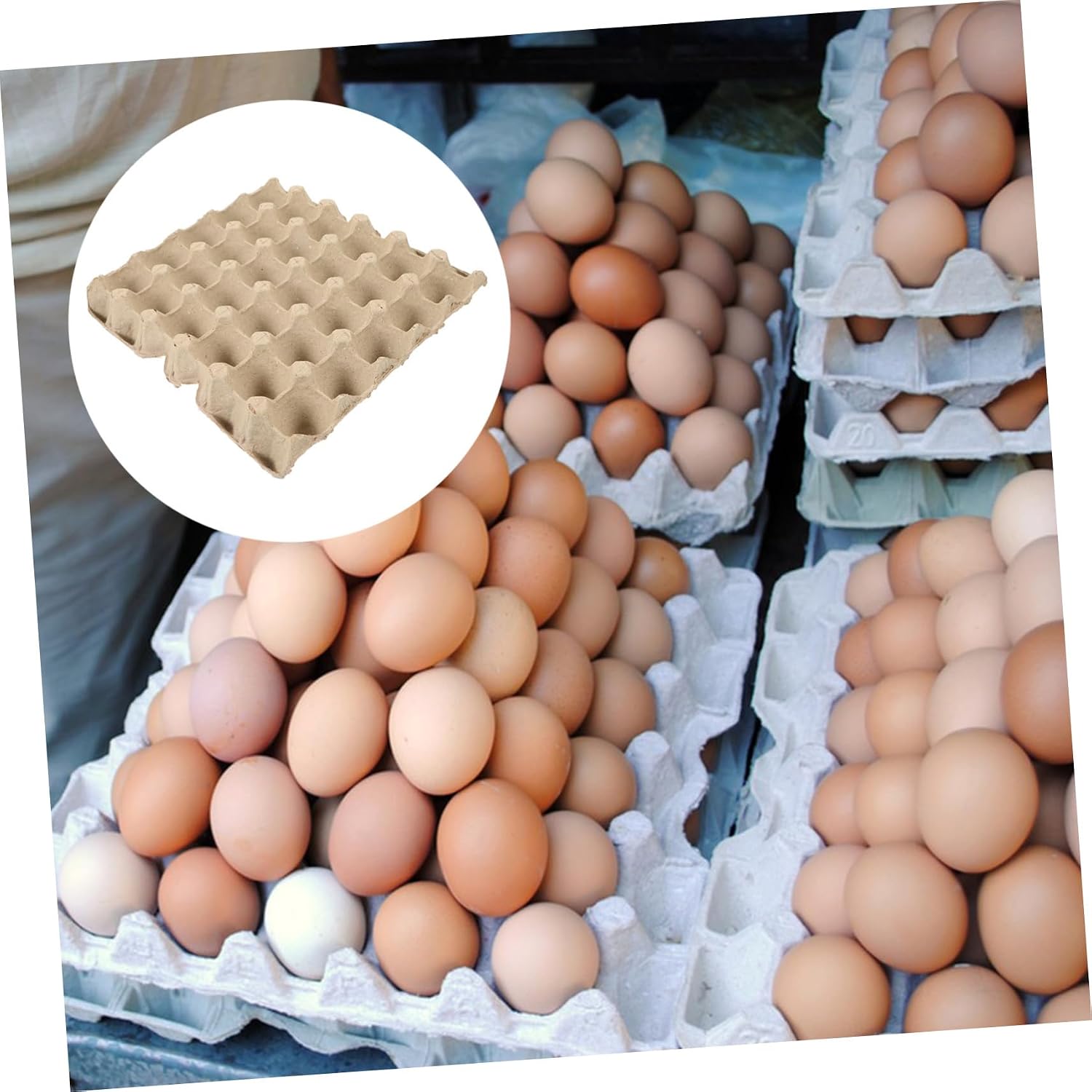 Healifty 5pcs Paper Pulp Chicken Egg Cartons Empty Egg Tray and Reusable Storage for Market and Safe Transportation