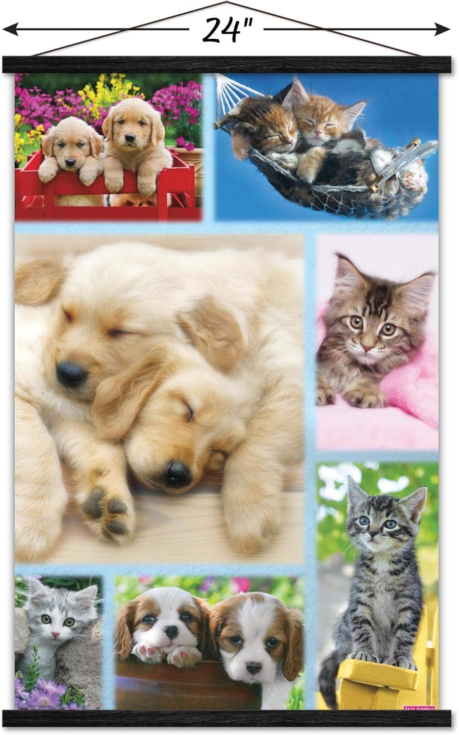 Trends International Keith Kimberlin - Puppies and Kittens Collage Wall Poster, 22.375" x 34", Print and Black Hanger Bundle