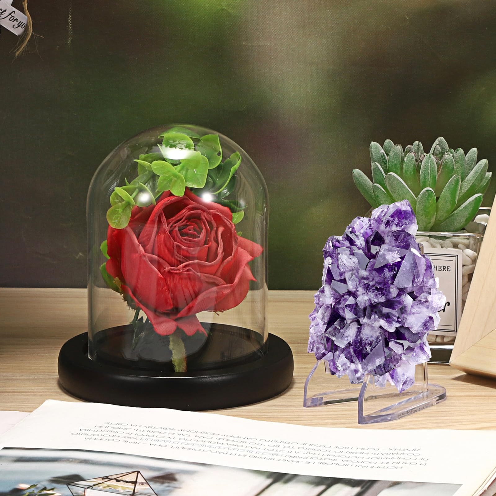 SUMNACON Cloche en verre avec chevalet en acrylique, petite montre de poche décorative transparente pour souvenirs et pièces de monnaie, mini cloche en verre avec base noire (sans montre)