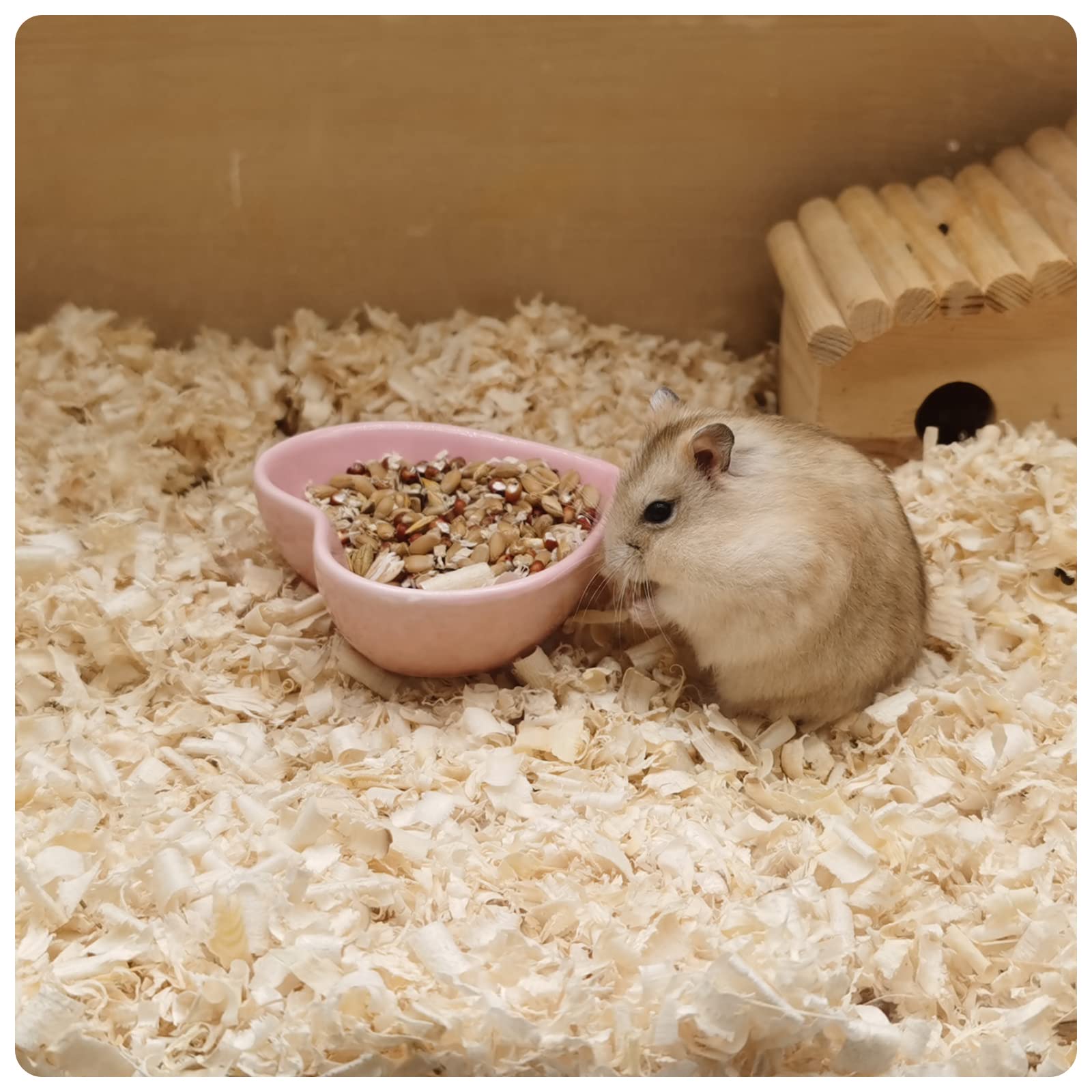 Bol en céramique en forme de cœur pour hamster, bol d'eau lavable pour cochon d'Inde, gerbille, hérisson, chinchilla, perroquet (rose)