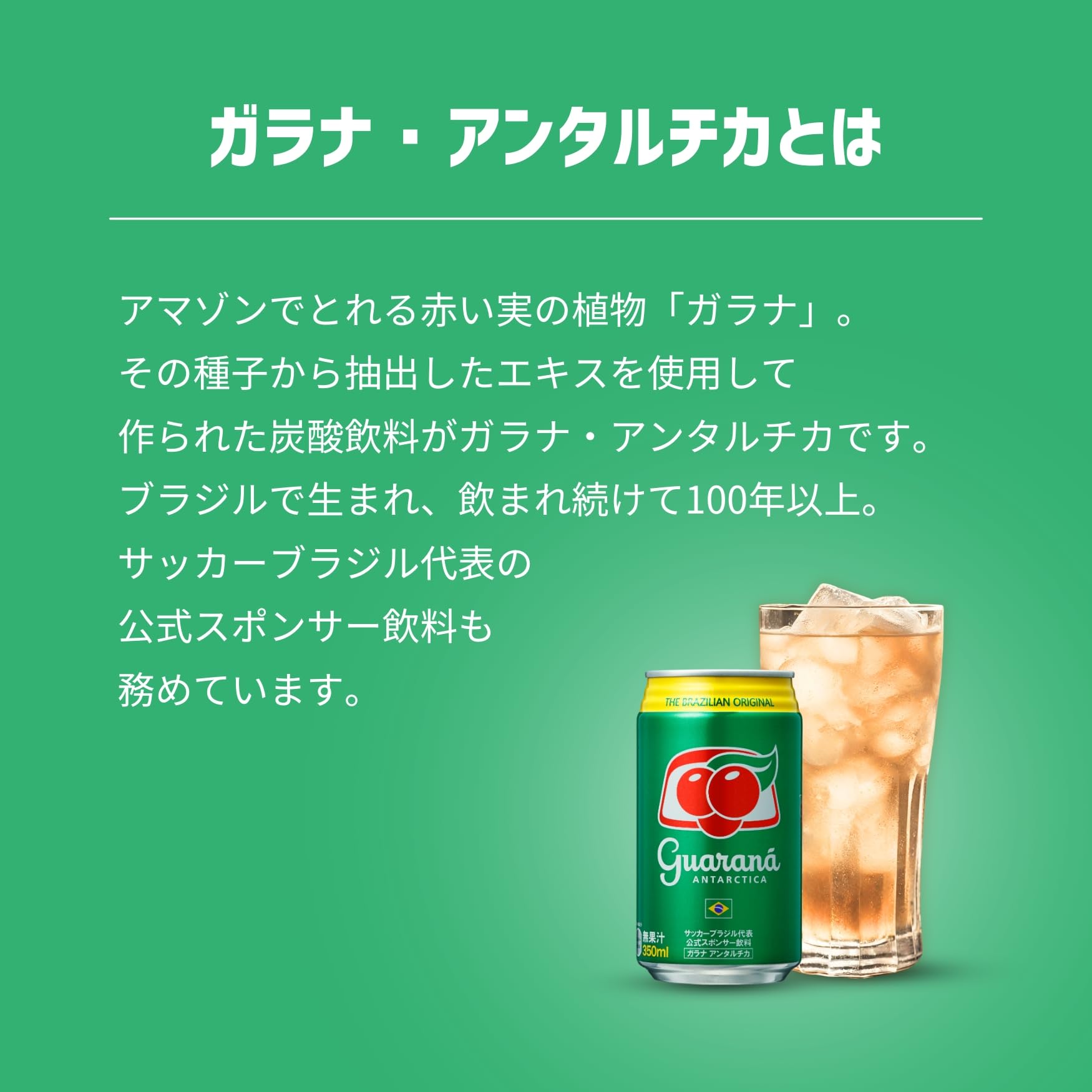 荒井商事 ガラナ・アンタルチカ 350ml×24本