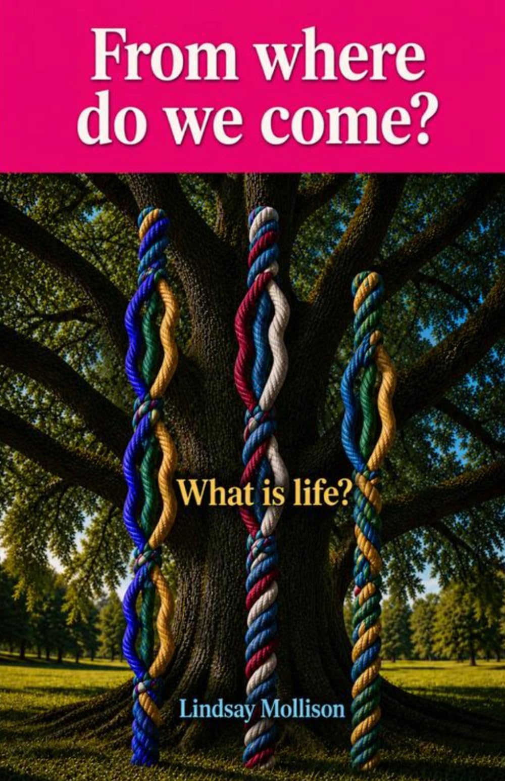 From where do we come?: What is life?
