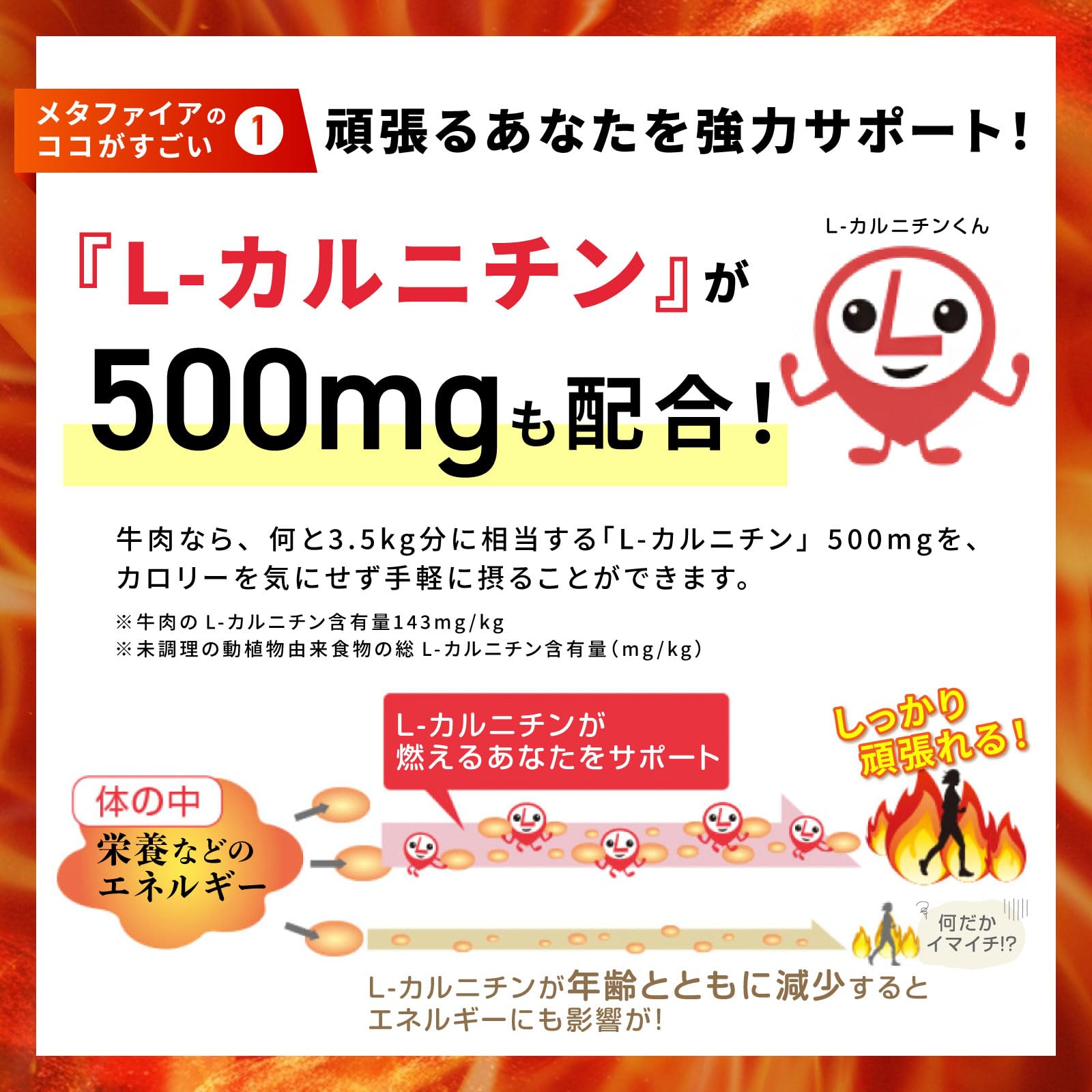 Amazon.co.jp: 富士フイルム メタファイア (30日分 150粒) 燃焼